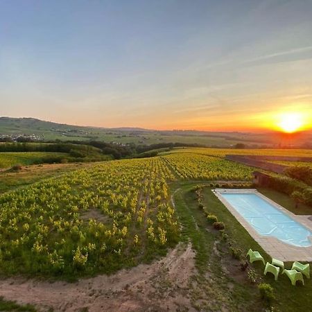 Апартаменты Au Coeur Des Vignes Moulin A Vent La Chapelle-de-Guinchay Экстерьер фото