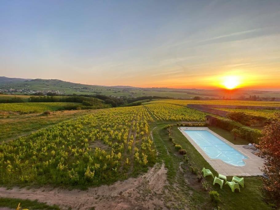 Апартаменты Au Coeur Des Vignes Moulin A Vent La Chapelle-de-Guinchay Экстерьер фото