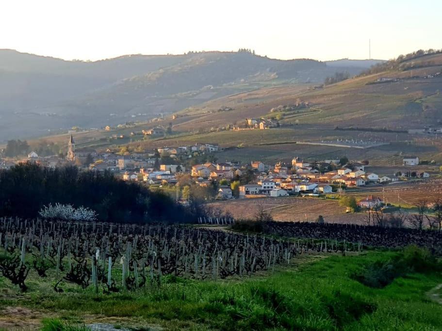 Апартаменты Au Coeur Des Vignes Moulin A Vent La Chapelle-de-Guinchay Экстерьер фото